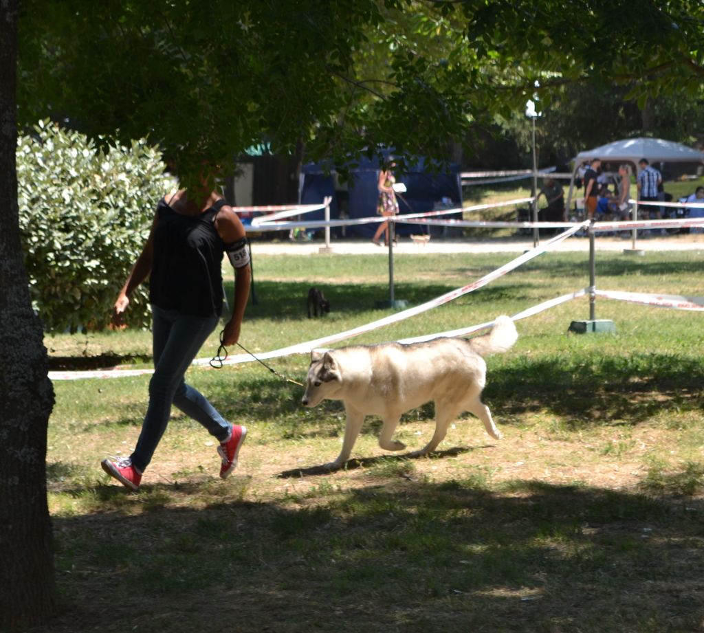 Baïkal liubov - 2 ème Excellent