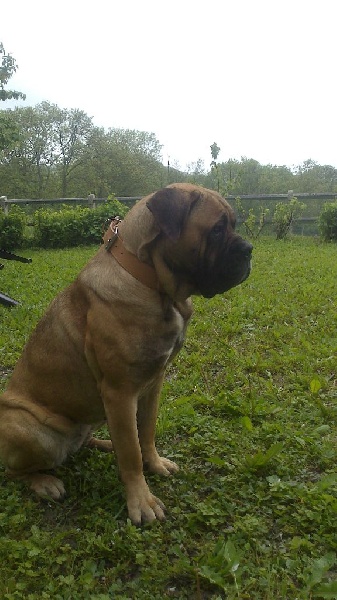 Publication : Des Divines Empreintes D'Or