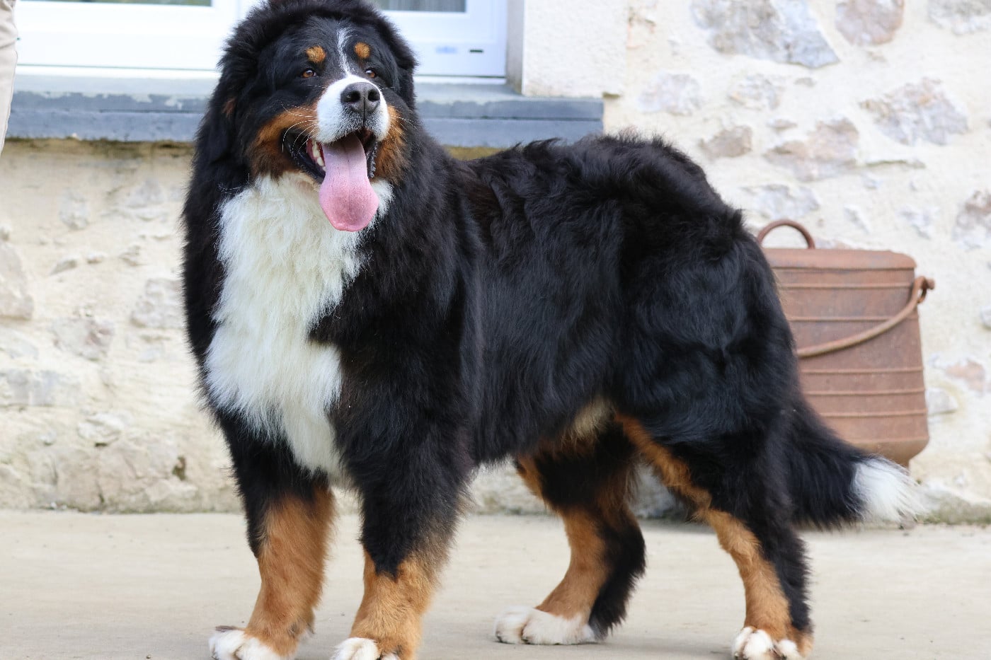 Toto africa De La Cathedrale Des Ours