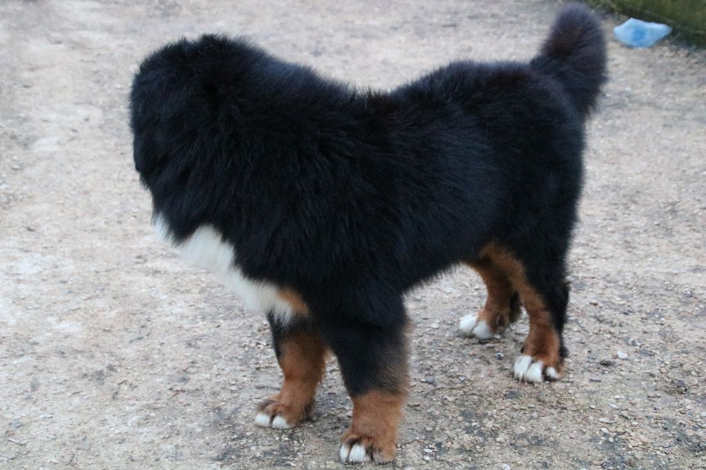 Néo De La Cathedrale Des Ours