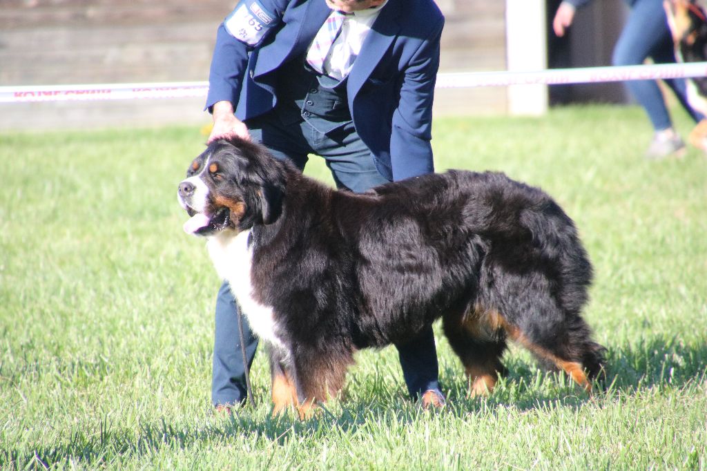 Publication : De La Cathedrale Des Ours