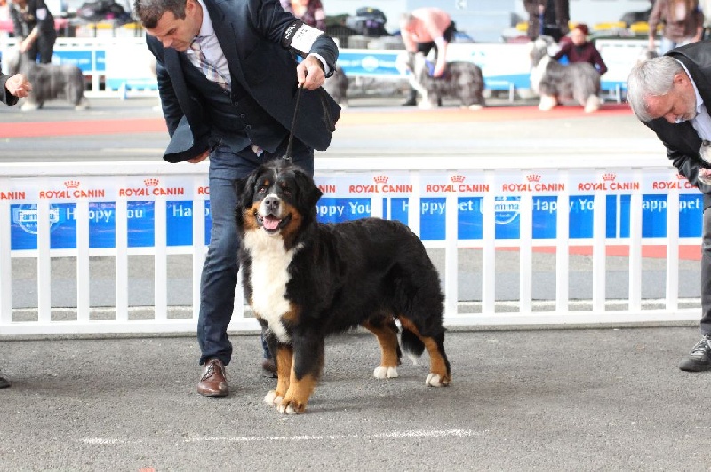 Hanna kim de la vallée de la Veude - 2ème EXCELLENT