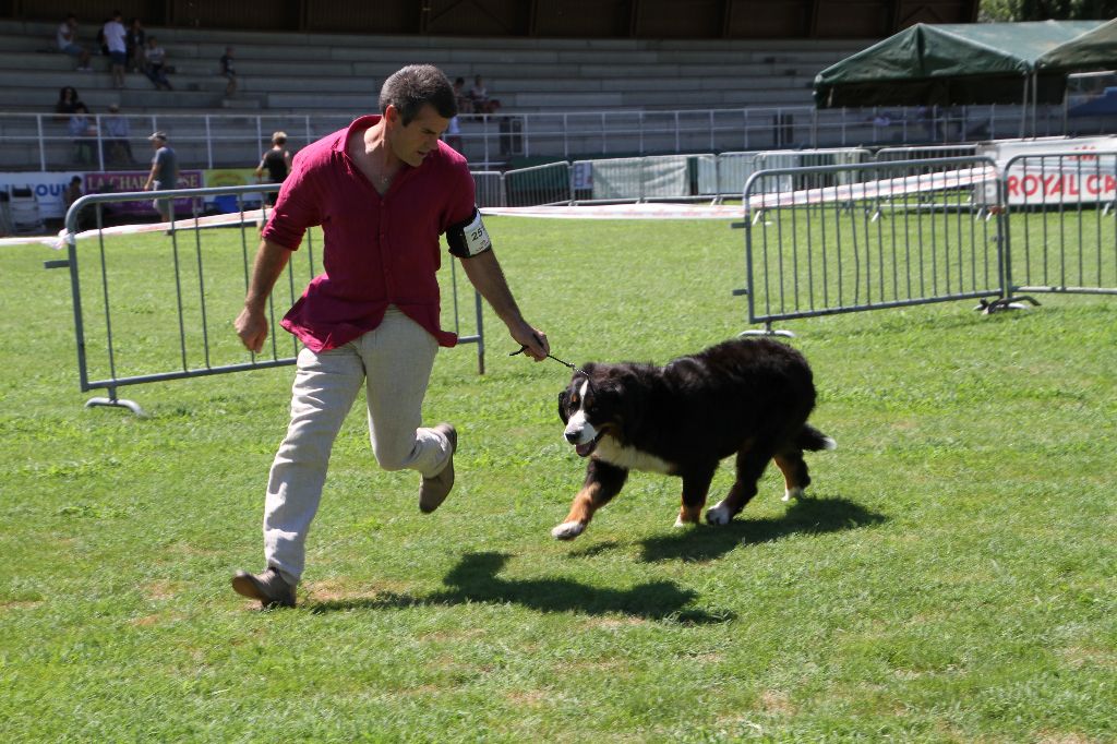 Image De la truffe en quercy - 1er EXCELLENT - RCACS