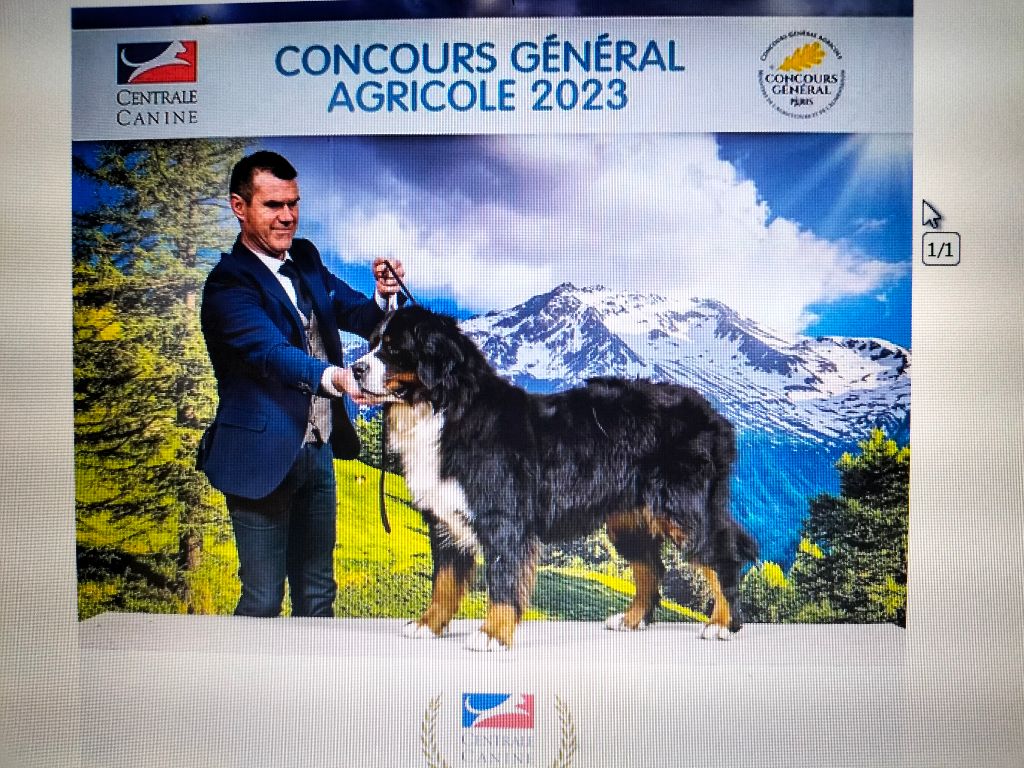 Penny lane des Légendes de Maika - Représentant CAC Femelle