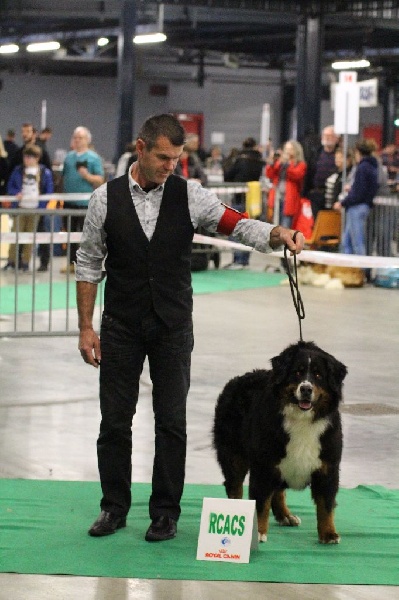 Hanna kim de la vallée de la Veude - 2 ème EXCELLENT - RCACS