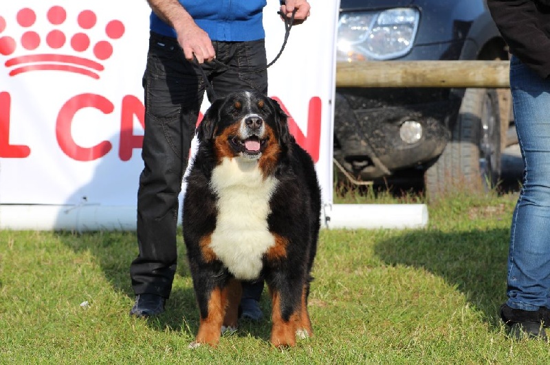 Hanna kim de la vallée de la Veude - 5ème EXCELLENT