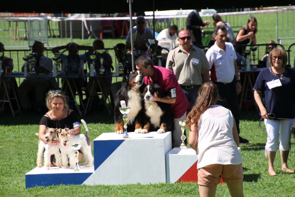 CH. Ghost De la truffe en quercy - MEILLEUR COUPLE
