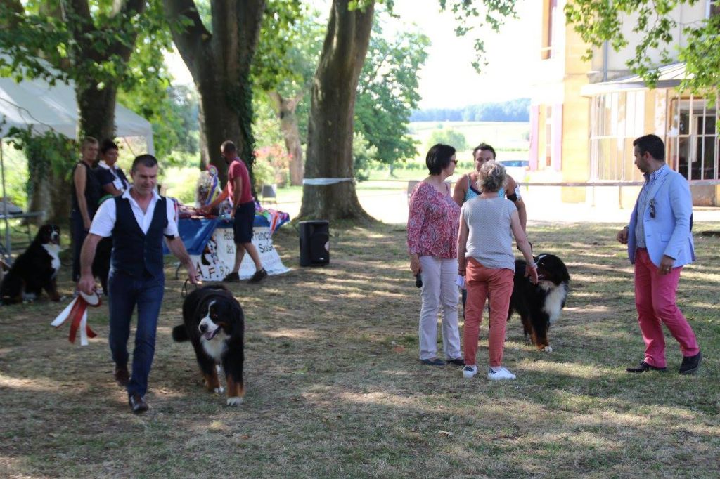 CH. Ghost De la truffe en quercy - 2ème EXCELLENT