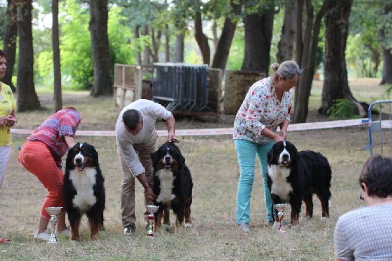 Hanna kim de la vallée de la Veude - 2ème EXCELLENT