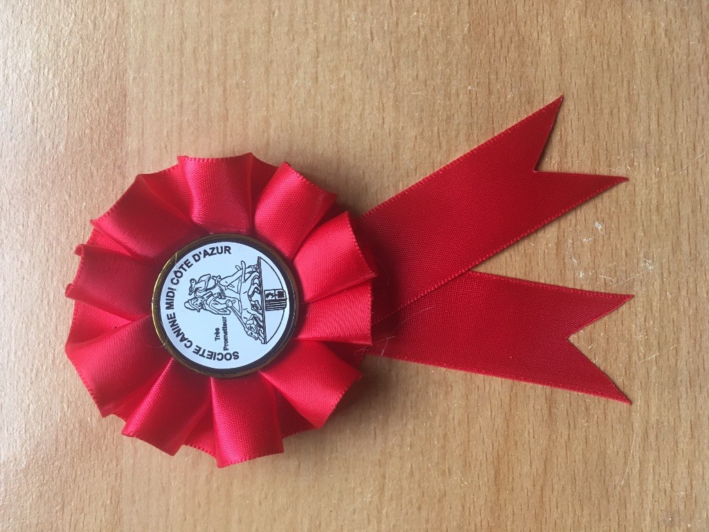 Red hidetora di Poggio petroio - TRES PROMETTEUR - CLASSE PUPPY