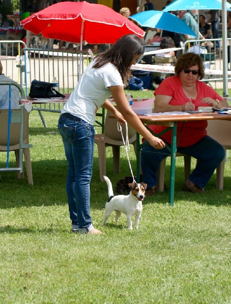 I'm a sweety De La Plaine D'Orion - 1er excellent