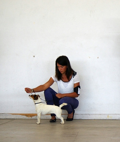 I'm a sweety De La Plaine D'Orion - 2em EXCELLENT