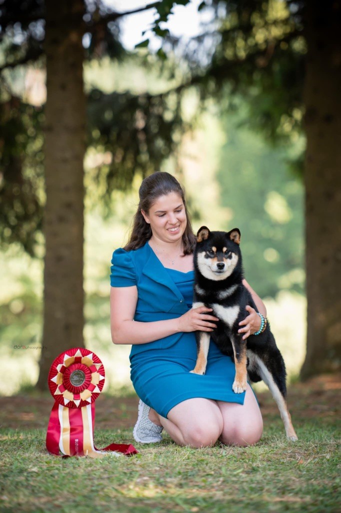 CH. Takuma du Bois de Compiègne - CACS - meilleur de race