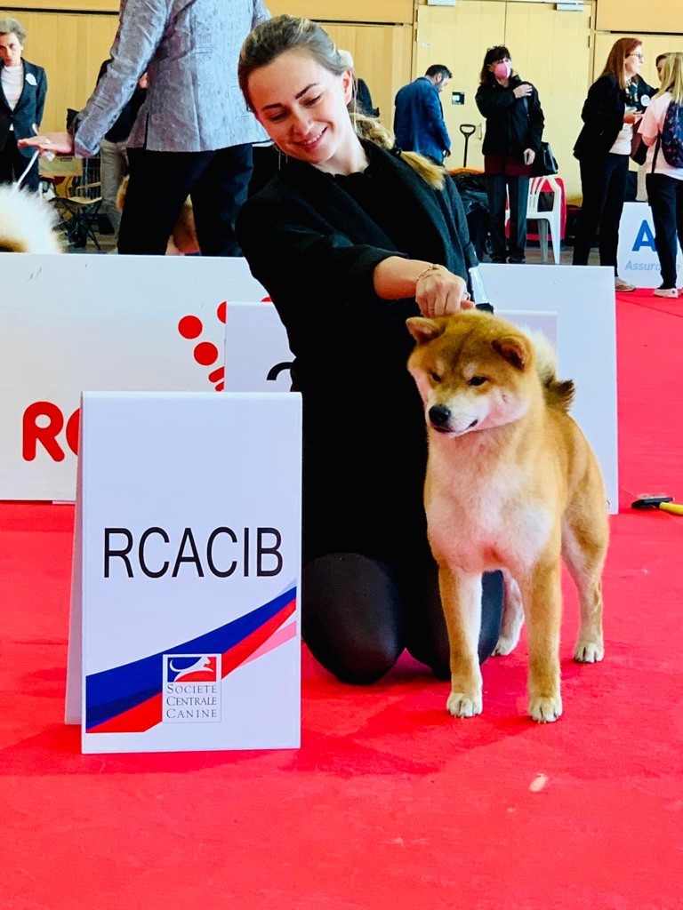 akai hana Misami - RCACS- RCACIB - vice champion d'Europe 2022