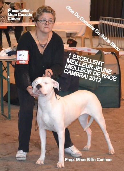 Publication : El Campo De Diamantes