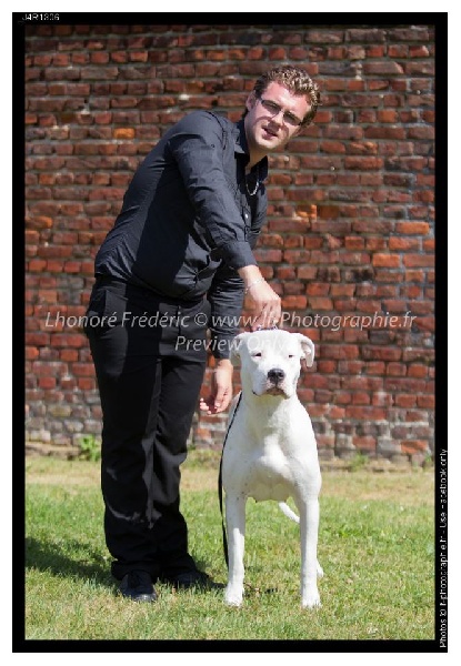 Gina du Domaine du Sable Blanc - meilleur jeune et meilleur adulte