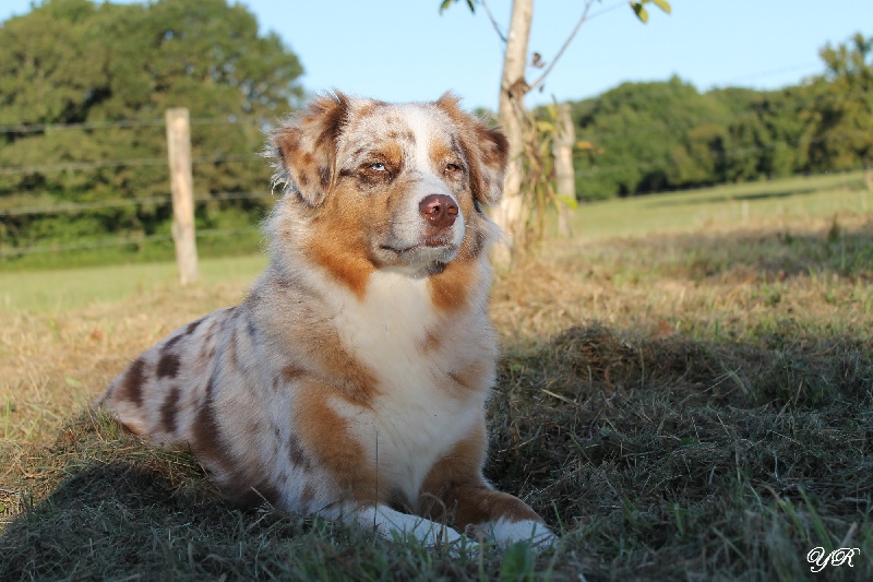 Hollister du Pays aux Longs Hivers
