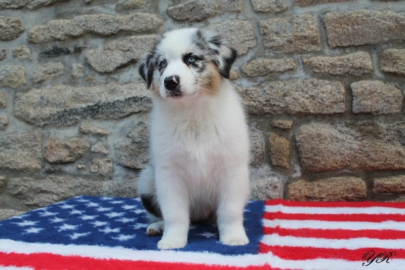 Publication : Of Yellowstone River Auteur : THEODOROU JACQUEMIN