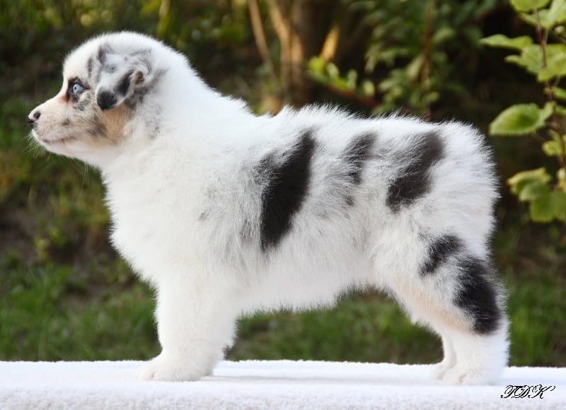 Publication : Of Yellowstone River Auteur : THEODOROU JACQUEMIN