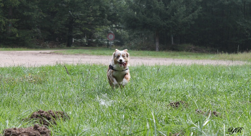 Hollister du Pays aux Longs Hivers