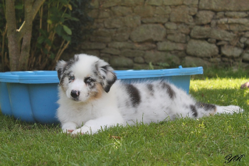 Publication : Of Yellowstone River Auteur : THEODOROU JACQUEMIN