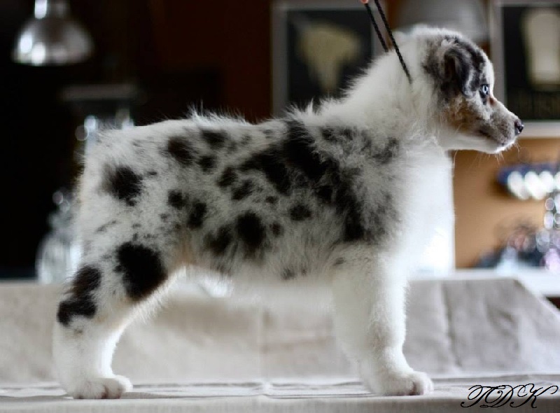 Publication : Of Yellowstone River Auteur : THEODOROU JACQUEMIN