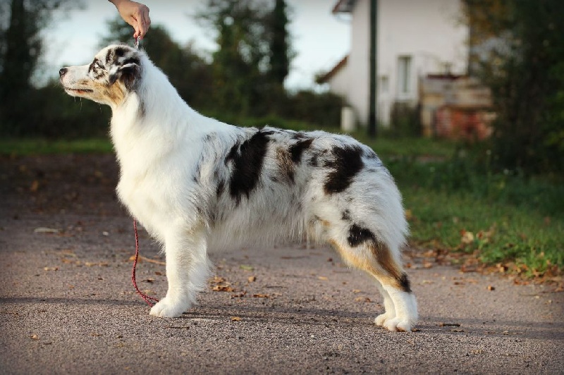 Publication : Of Yellowstone River Auteur : THEODOROU JACQUEMIN