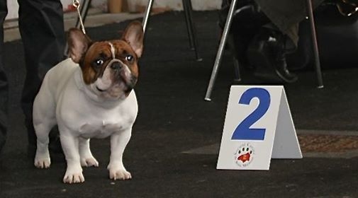 CH. Inedit Du Domaine De La Planchette - 2eme Exc RCACS