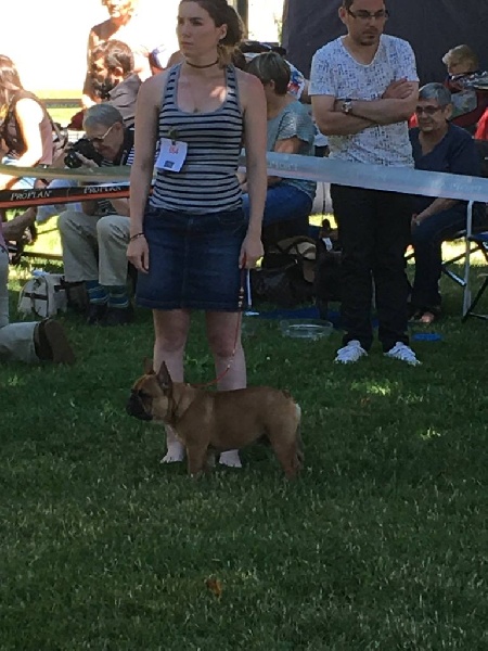 Lord of lardons Du Domaine De La Planchette - TP