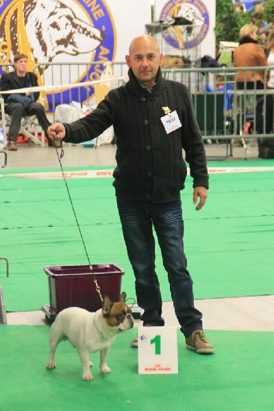 CH. Inedit Du Domaine De La Planchette - 1er Exc CACS