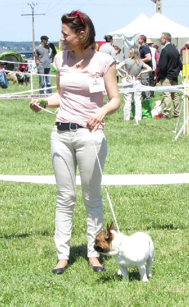 CH. Inedit Du Domaine De La Planchette - T Prometteur