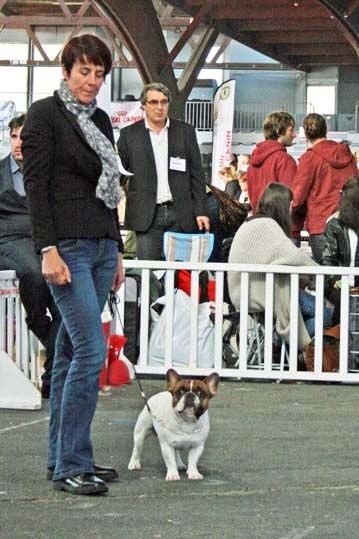 CH. Inedit Du Domaine De La Planchette - 3eme Exc