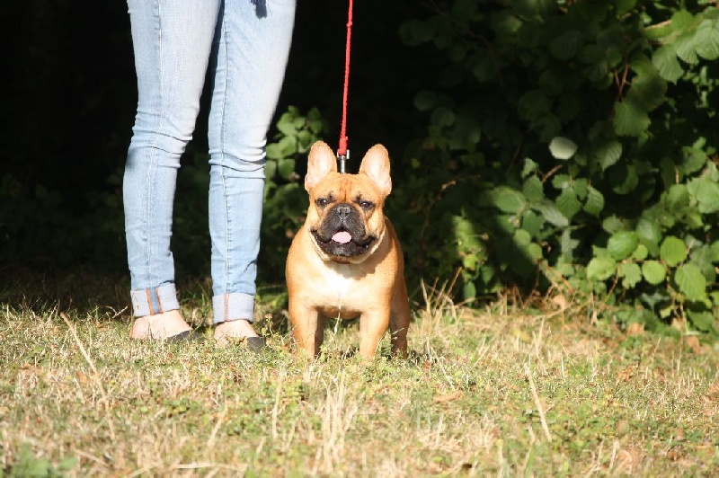 Lord of lardons Du Domaine De La Planchette - TP