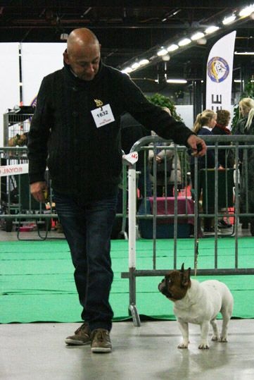 CH. Inedit Du Domaine De La Planchette - 1er Exc