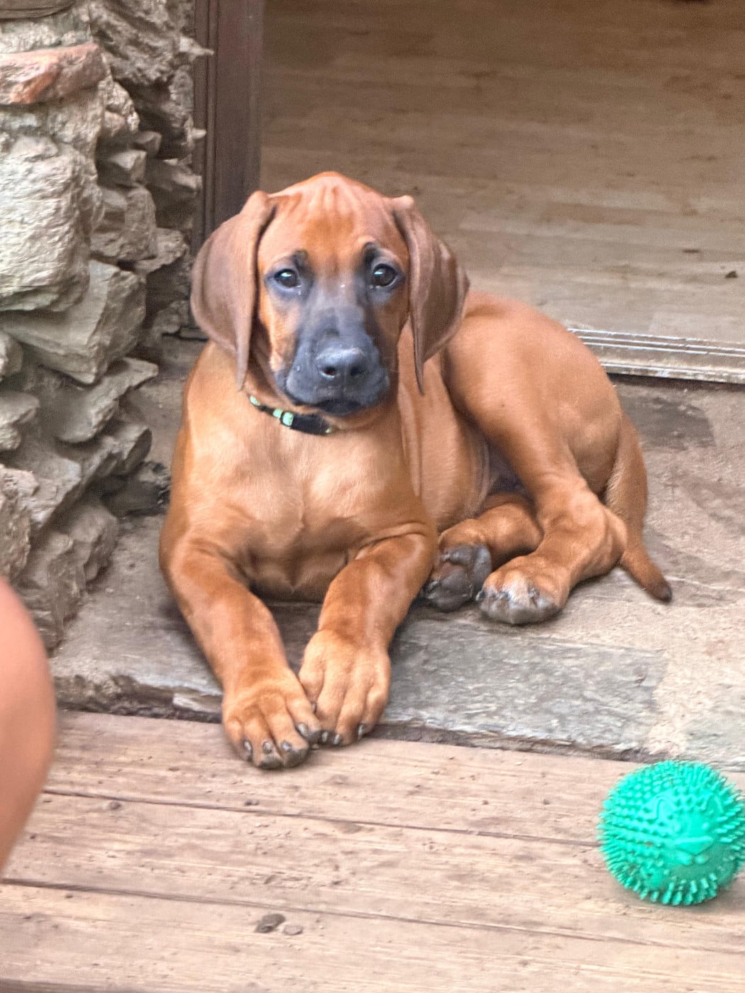 BRUCE