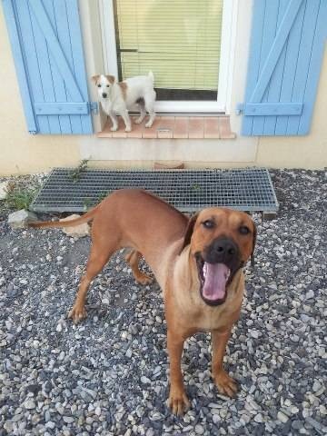 Publication : Du Mas Desa Terra D'Oc