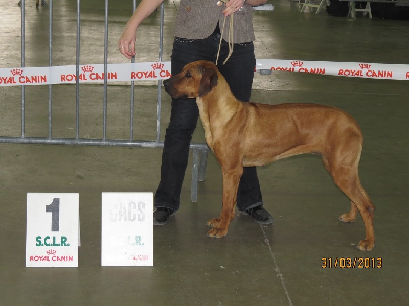 Geïsha Du Domaine D'adéane - 1er excellent / CACS / Meilleur de race