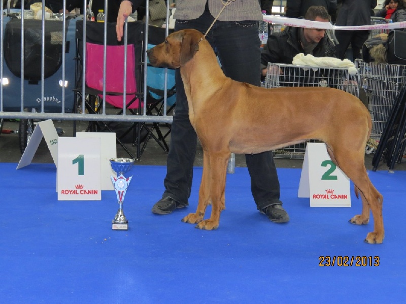 Geïsha Du Domaine D'adéane - 1er Excellent