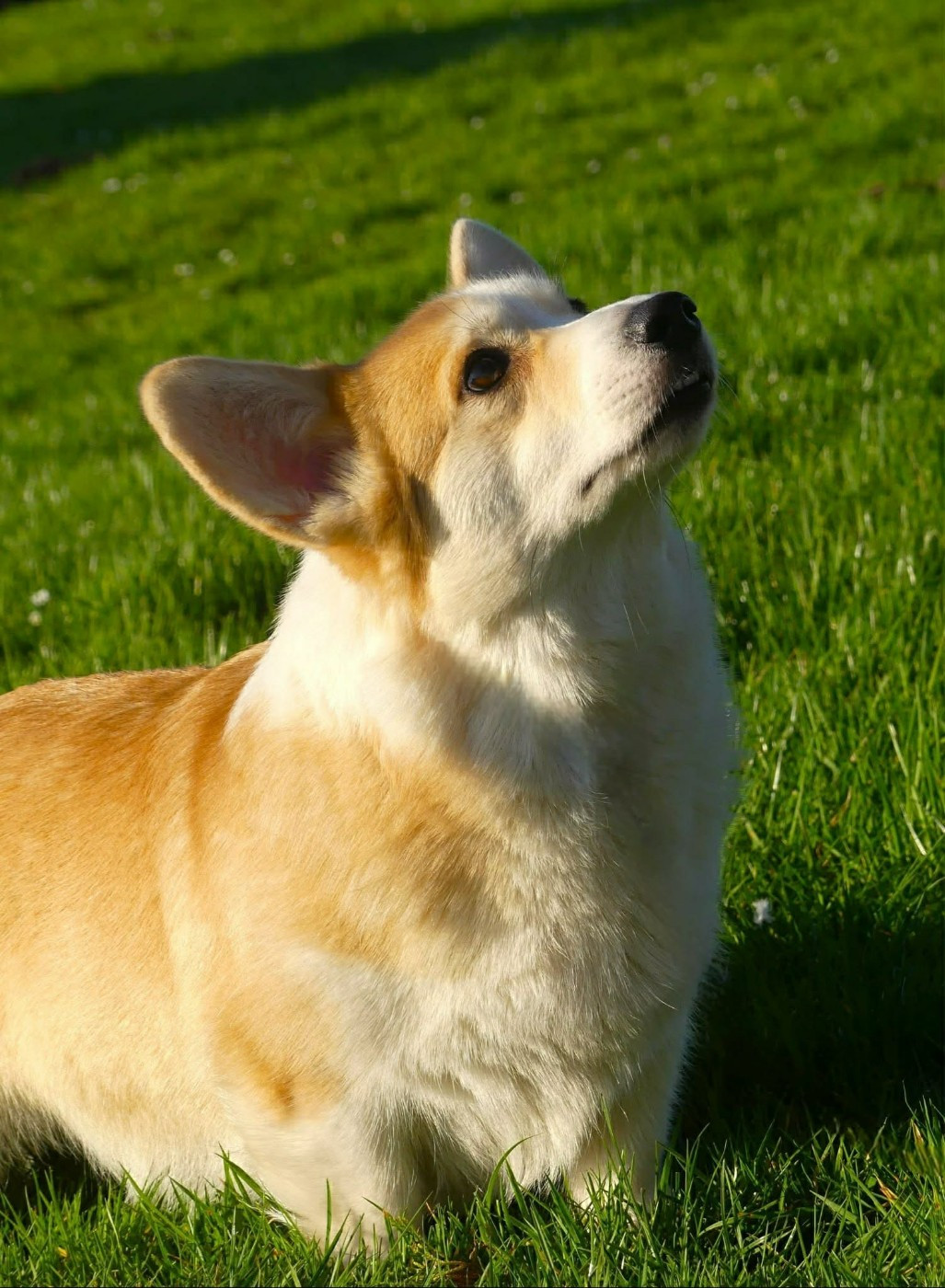 Unchain me o f iron's star des Contamines