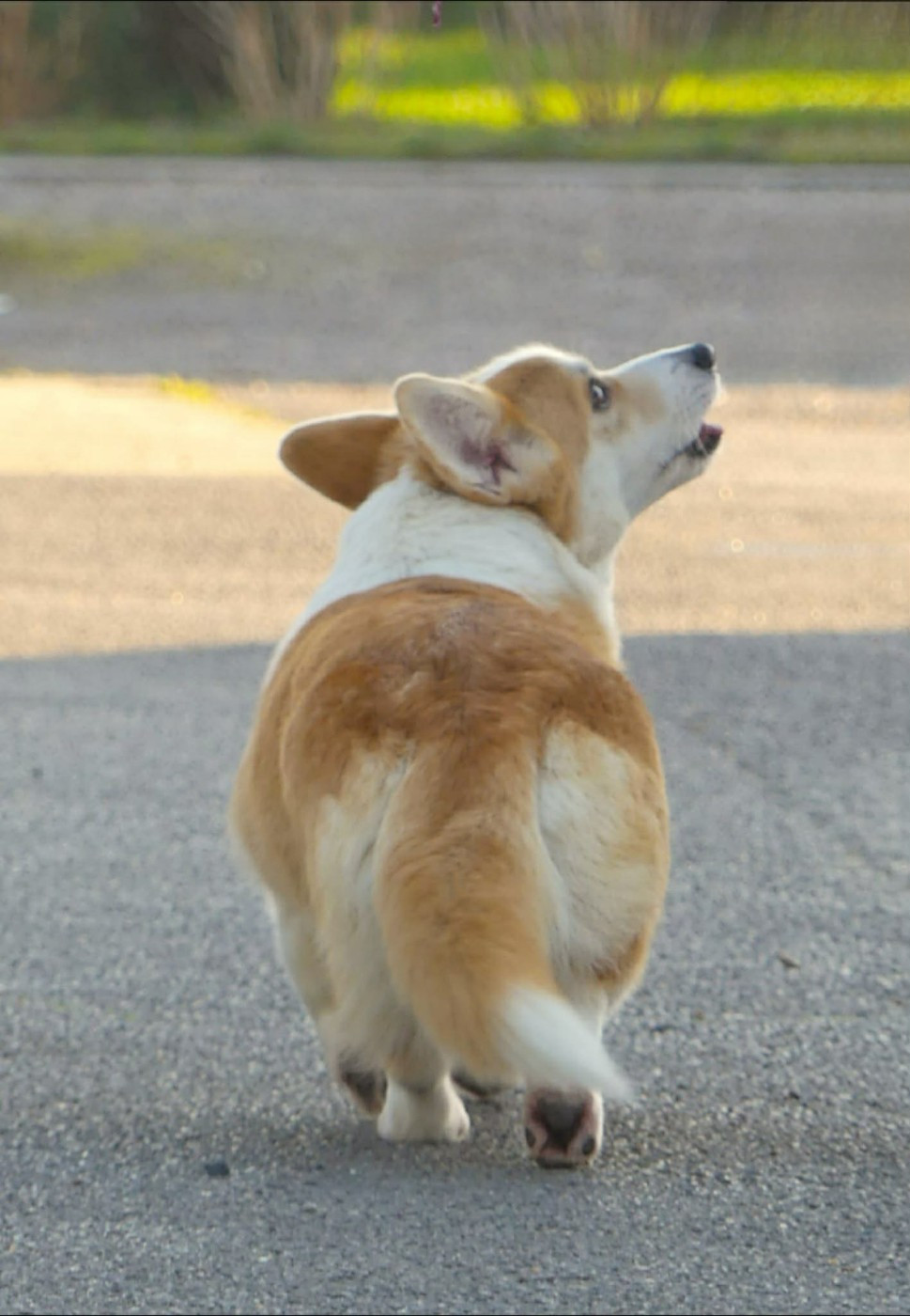 Unchain me o f iron's star des Contamines