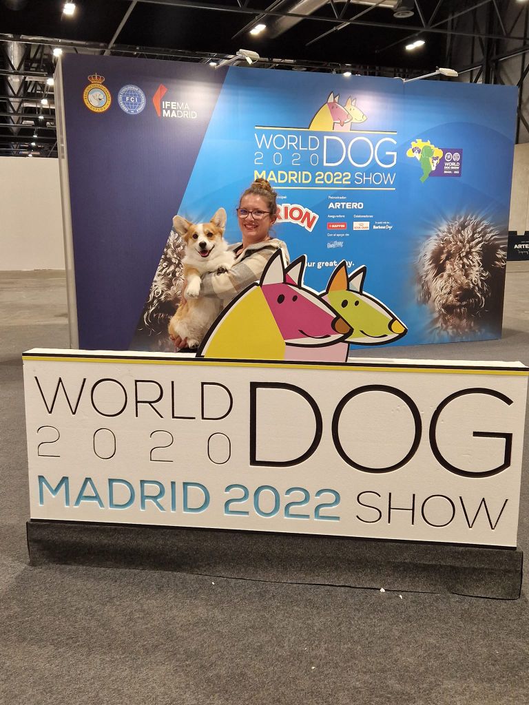 CH. Pepper potts my iron star's des Contamines - Excellent NC