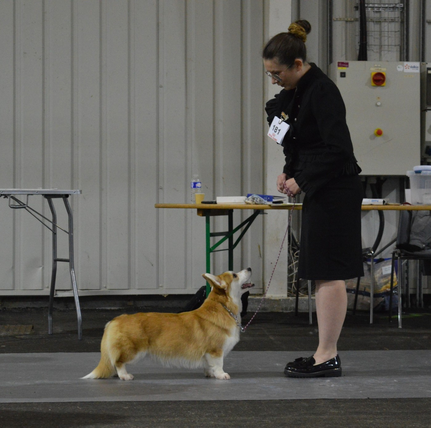 CH. Until i found my iron star's des Contamines - 2e Excellent - RCACS