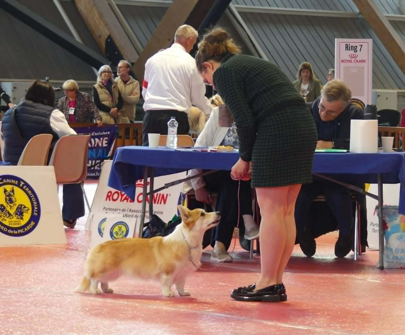 Unchain me o f iron's star des Contamines - 1ere Excellent - RCACS - RCACIB