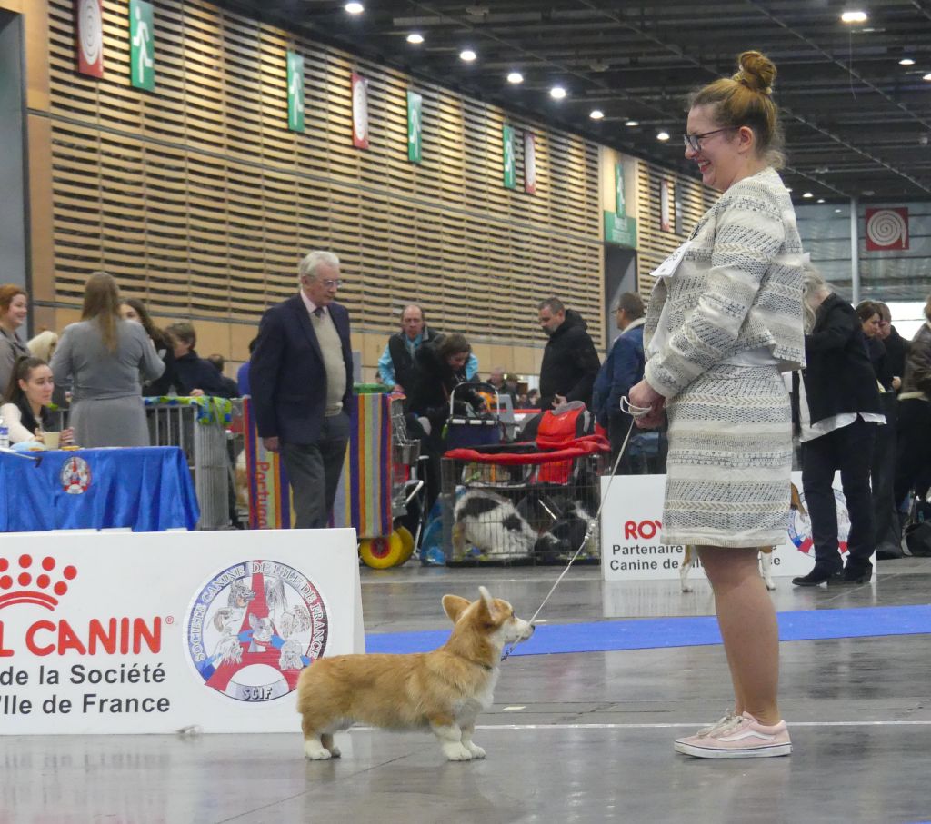 Until i found my iron star's des Contamines - 3e Très Prometteur