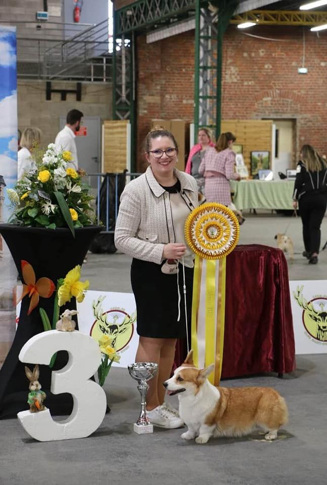 CH. Pepper potts my iron star's des Contamines - 1ere Excellent - BOB - BOG 1 - BEST IN SHOW 3