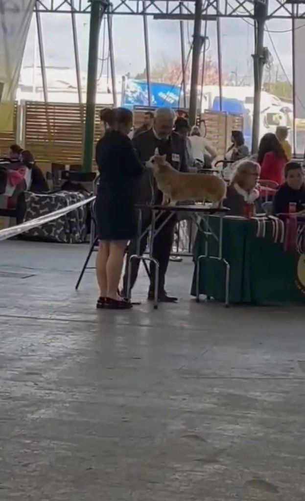 Until i found my iron star's des Contamines - 1ere Très Bon