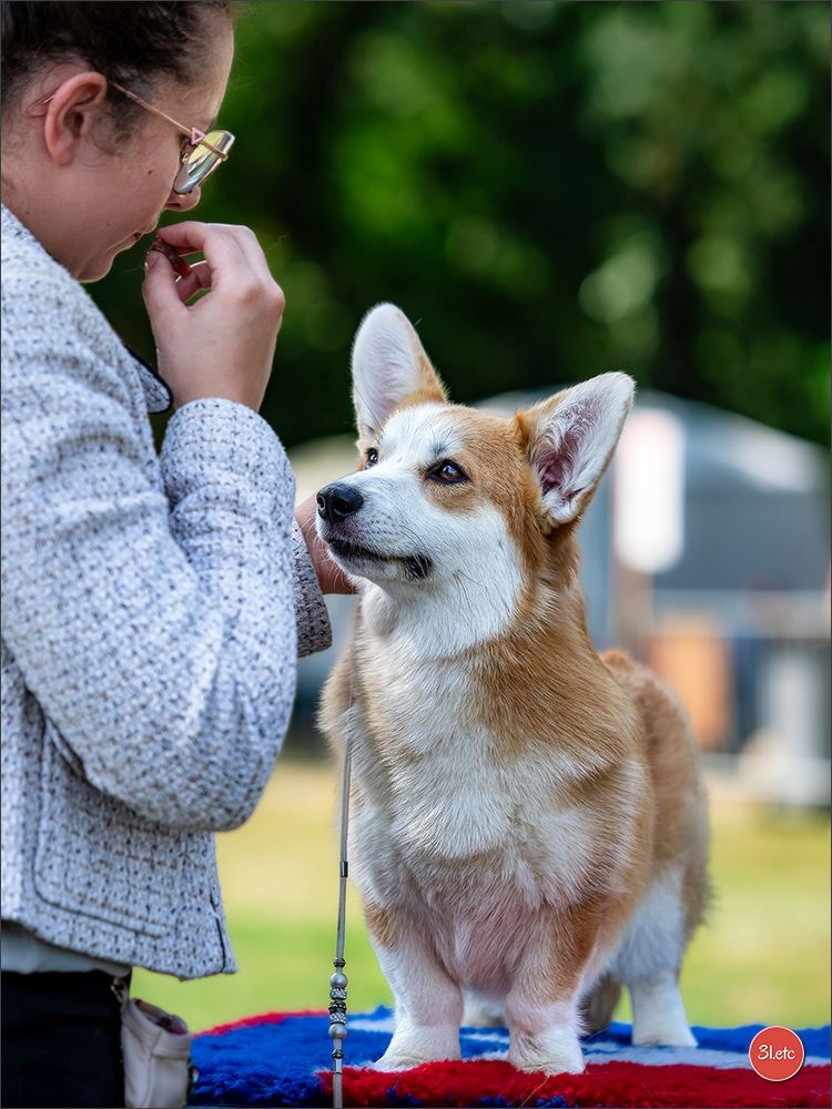 Until i found my iron star's des Contamines - Excellent - TAN