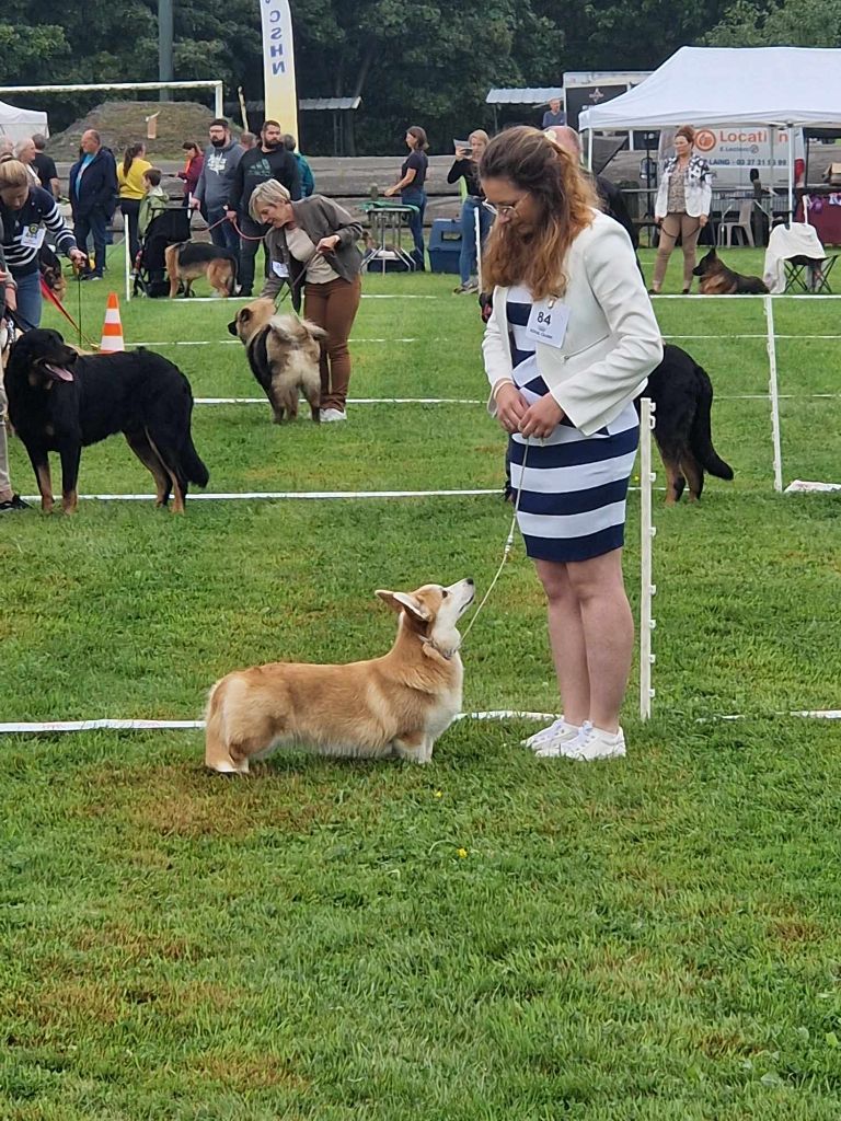 Until i found my iron star's des Contamines - 1ère Excellent - CACS-J