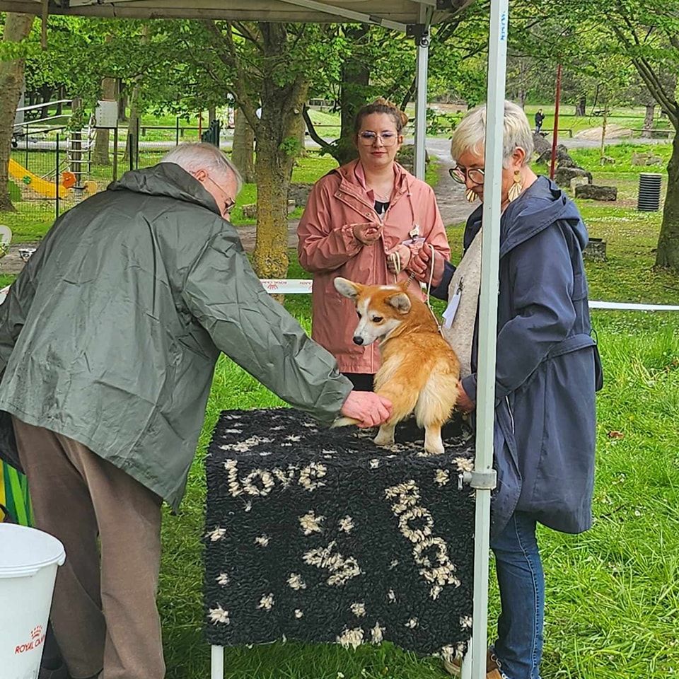 Until i found my iron star's des Contamines - 1er Très Prometteur