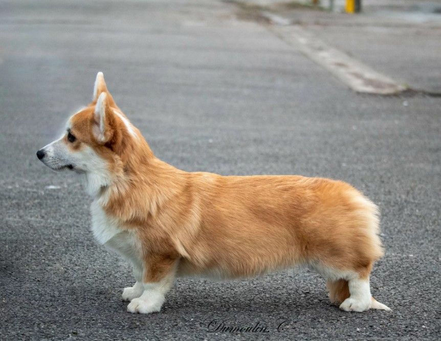 Until i found my iron star's des Contamines - 2eme Très Prometteur